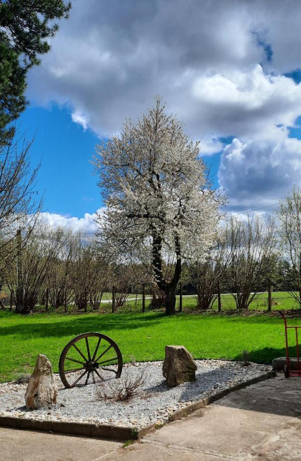 Penzion U Statku Lodherov Dış mekan fotoğraf